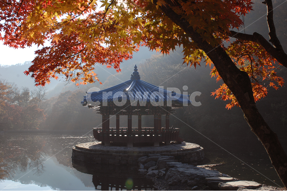 자연,가을,단풍,내장산,식물,가을,계절,fall,autumn,season,한국전통,한국문화,korean traditional,korean culture,건축물,건물외관,exterior,building,structure,architecture,construction