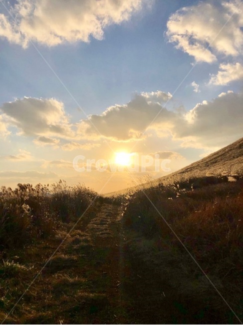 제주,오름,새별오름,노을,sunset