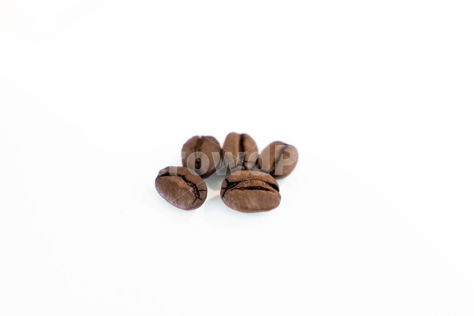 커피콩,커피,로스팅,coffee,roasting,원두,생두