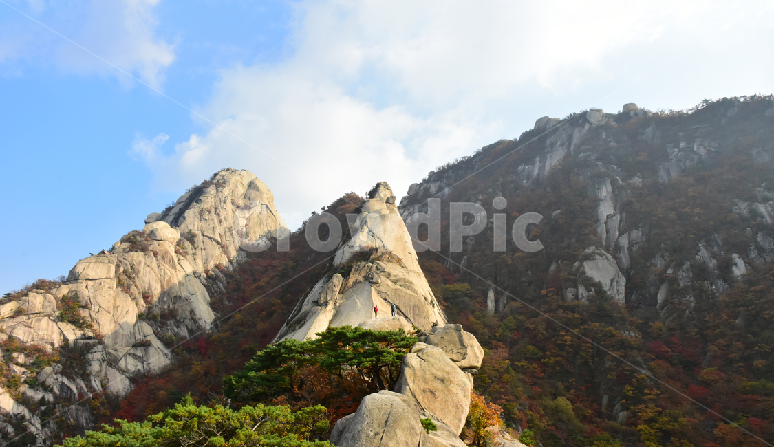 가을,단풍,자연,풍경,북한산,잎,단풍잎,붉은,나무,계절,계곡,숲,힐링,plant,fall,autumn,season,forestnature,landscape,한국자연풍경,한국자연경관,korea,tree,maple,leaf,가을,계절,fall,autumn,season,자연,풍경,nature,landscape,outdoors,옥외
