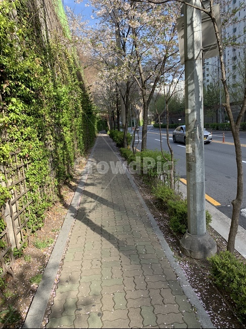 sidewalk,On the way home from school,packaging,Passage,On the way to school