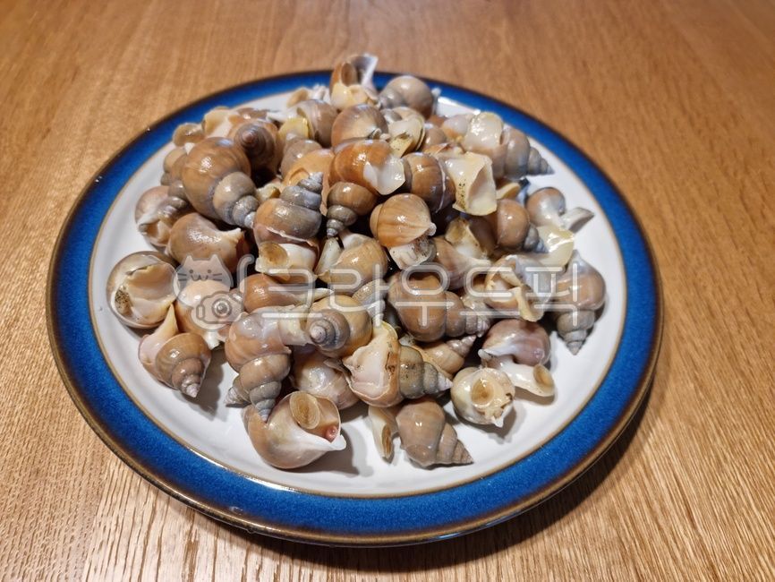 바다골뱅이,통골뱅이,골뱅이,골뱅이무침,조개