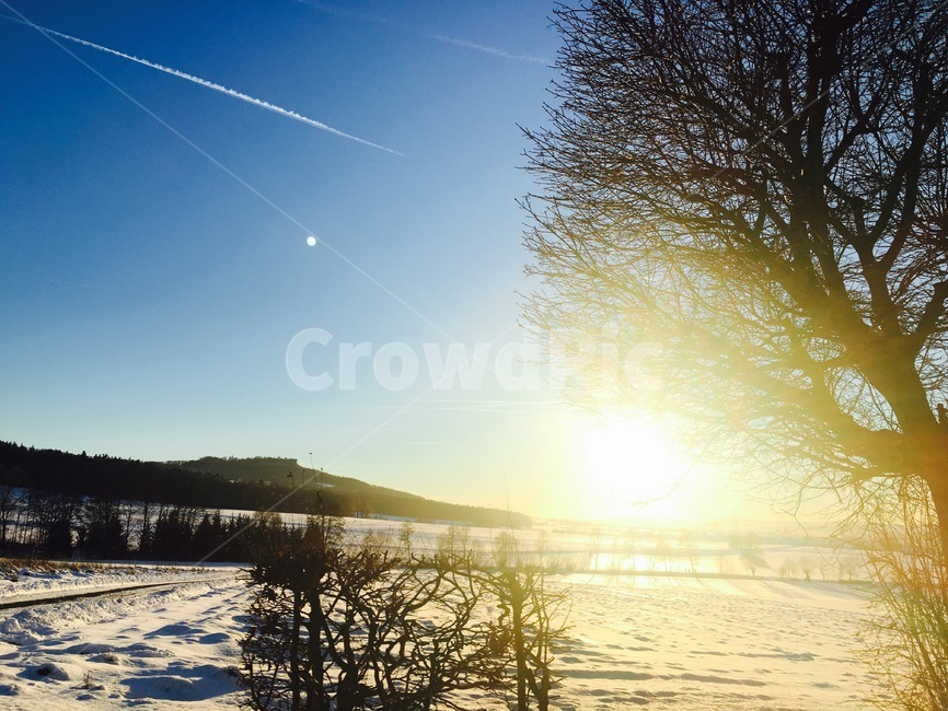 햇빛,빛,풍경,노을,저녁,겨울,계절,winter,season,자연,풍경,nature,landscape,light,flare,플레어,sunlight,outdoors,옥외