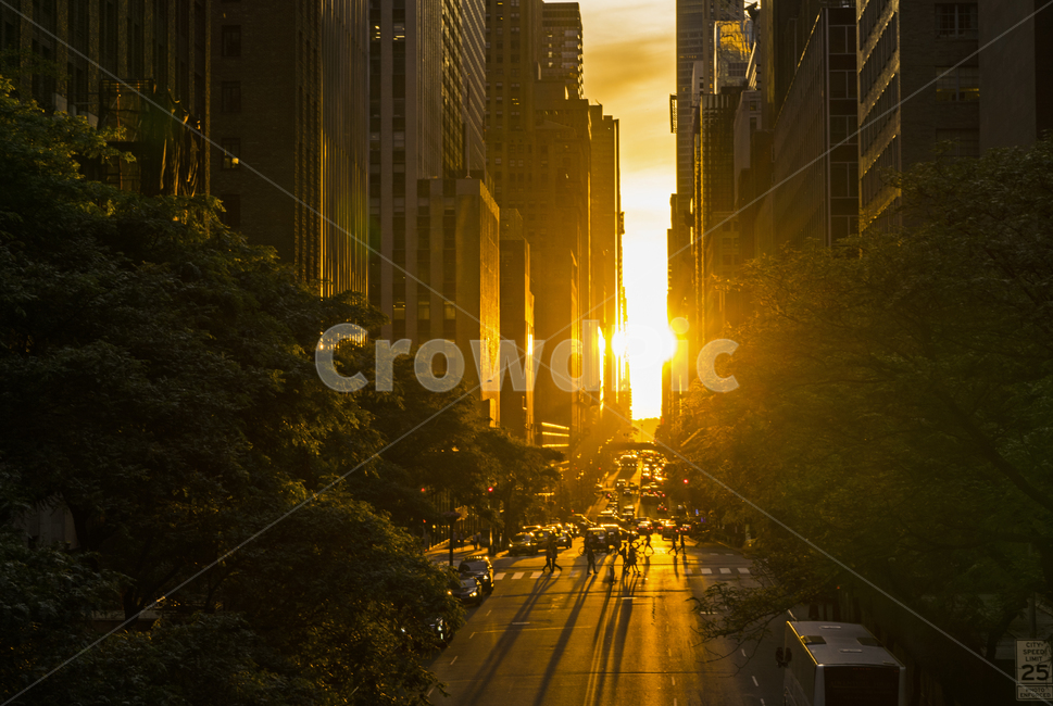 빛,flare,플레어,뉴욕,햇빛,지평선,newyork,sunray,sun,rays,light,sunset,일몰,skyline,road,car,peiople,사람,도시,풍경,city,landscape,해외,외국,세계,foreign,oversea,world,세계도시풍경,해외도시풍경,외국도시풍경,world cityscape