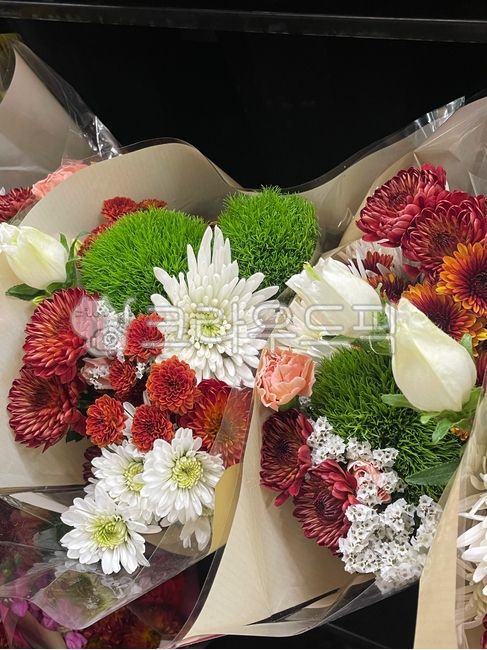 꽃,꽃다발,사랑,이국적,컬러,컬러풀,flower,color,love