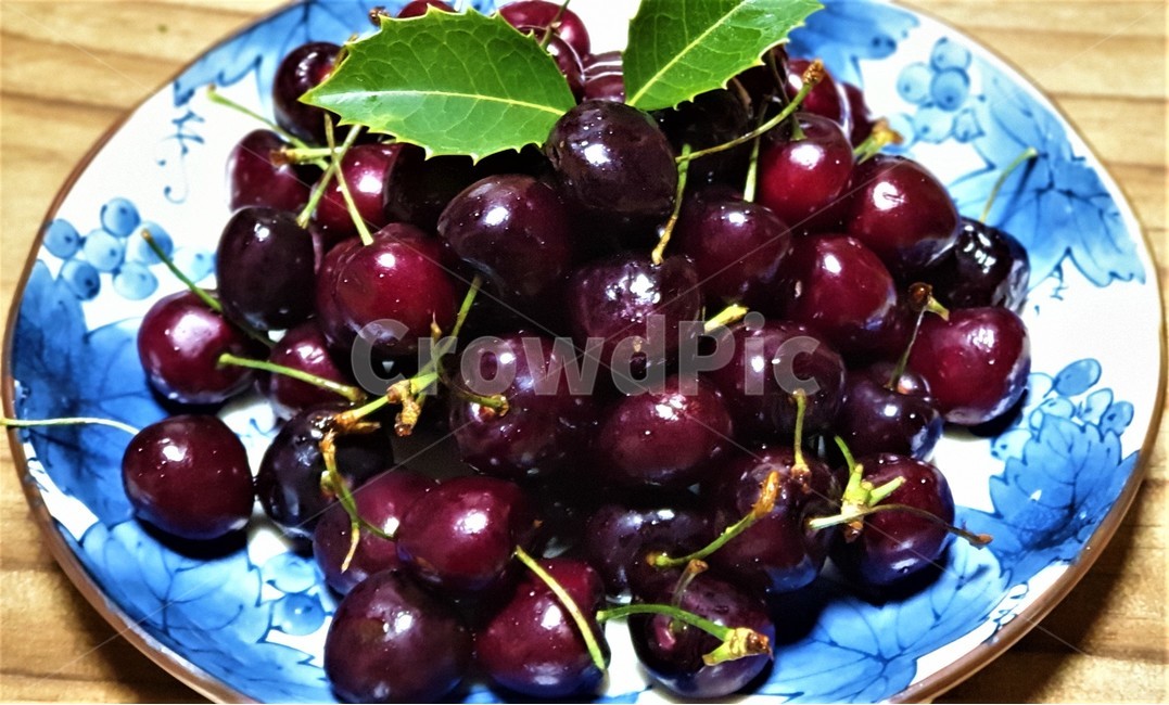 체리,과일,보라색,열매,접시,식물,plant,식탁,파란무늬접시,나무잎
