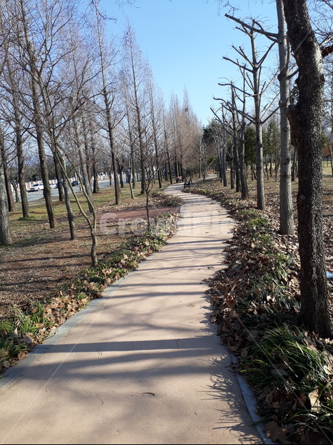 path,산책로,산책길,길,배경,자연