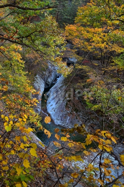 설악산,가을,풍경,단풍,탐방,국립공원,파란하늘,가을색,오색,울긋불긋,알록달록,그림같은,칼라풀,뷰티플,아름다운,힐링,감성,자연,정취,산세,명산,100대명산,nature,산,등산,트레킹,비경,경치,사진,색채,가을의정취,가을,계절,fall,autumn,season,자연,풍경,nature,landscape,한국자연풍경,한국자연경관,korea nature landscape,leaf,잎,plant,식물,water,물,outdoors,옥외,creek,작은 만,stream,흐름