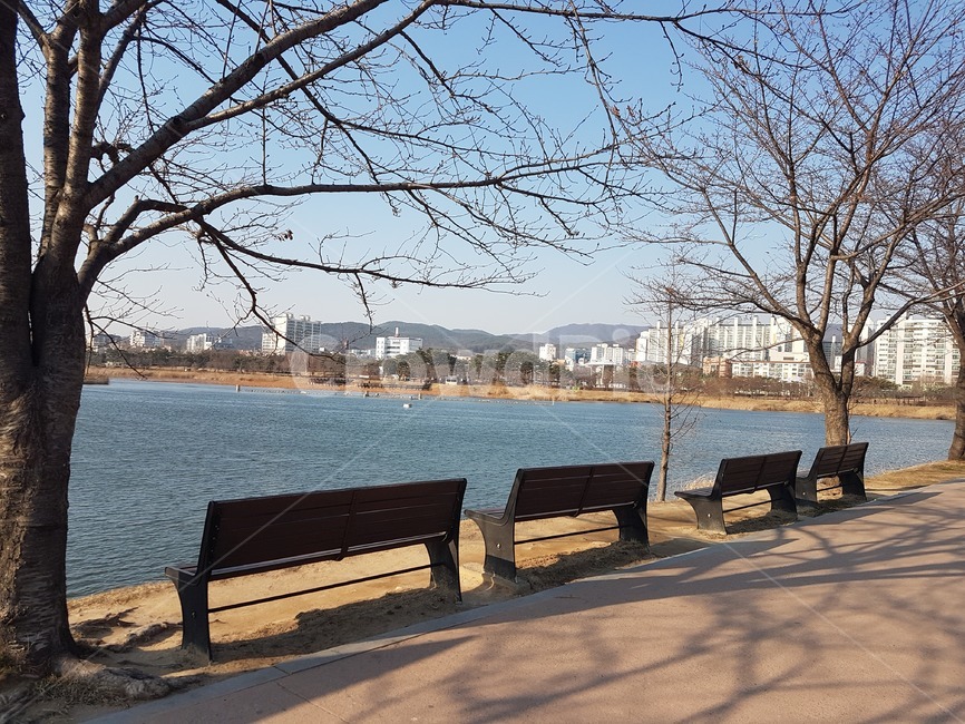 벤치,공원,휴식,쉼터,bench,여유,여유로움,가을,겨울,가을,계절,fall,autumn,season,furniture,가구