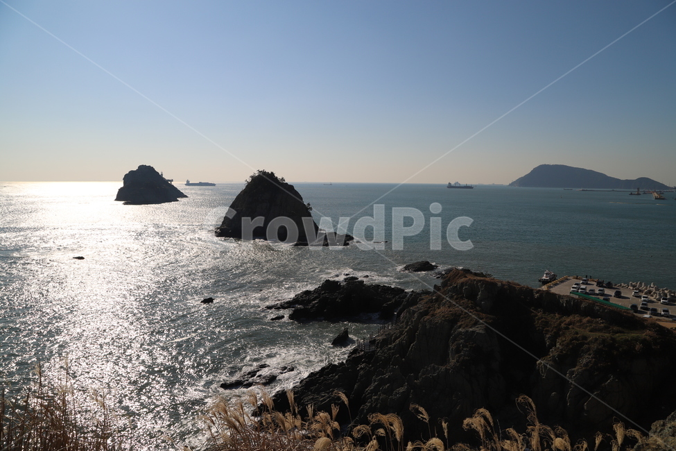 부산,바다,섬,갈대,겨울,자연,풍경,nature,landscape,한국자연풍경,한국자연경관,korea nature landscape,promontory,곶,land,땅,outdoors,옥외,ocean,대양,sea,water,물,shoreline,해안선