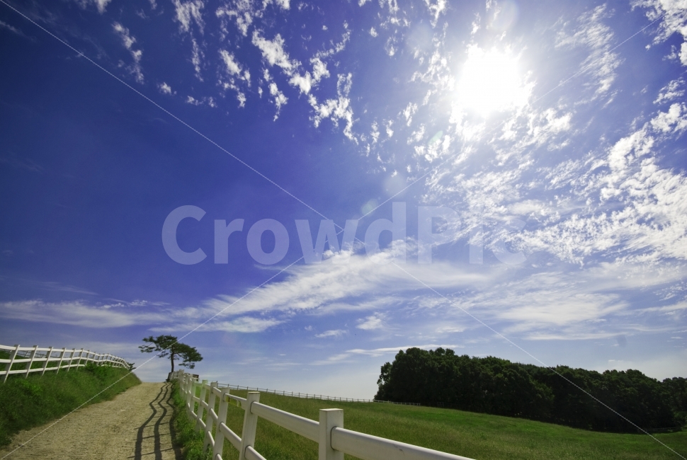 초원,풀,나무,울타리,하늘,구름,푸른하늘,빛내림,광각,풍경,sky,cloud,wideangle,자연,풍경,nature,landscape,outdoors,옥외