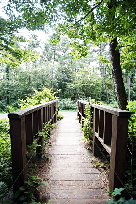 제주도,길,산책로,building,bridge,다리,boardwalk