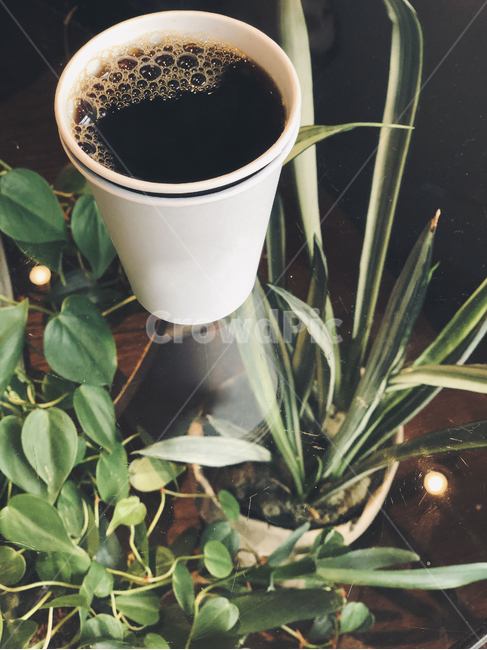 ceffee,cafe,카페,커피,blackcoffee,커피컵,coffeecup,cup,drink,beverage,마실것,모닝커피