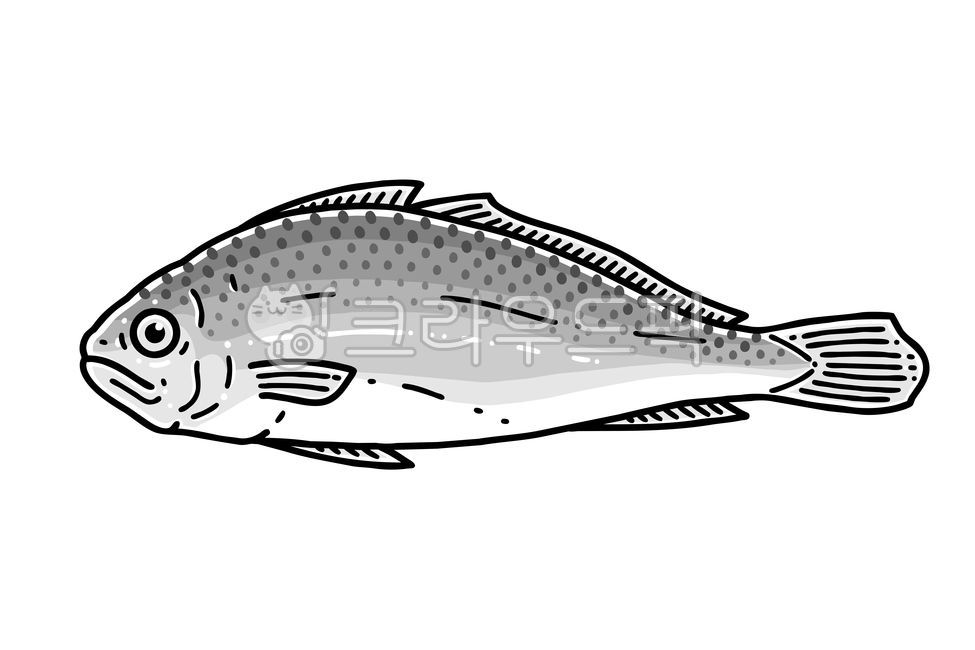 조기,굴비,보리굴비,참조기,영광굴비,법성포,일러스트,생선,yellowcorvina,yellowcorbina,yellowcroaker,dryyellowcorvina,corvina,croaker,삽화,건어물,해산물,말린생선,물고기,동물,식품,음식,흑백,디자인,디자인요소,그림,마른,어업,그래픽,컷아웃,라인아트,아웃라인,선화,해양,벡터,그래픽,일러스트레이션,graphic,illustration