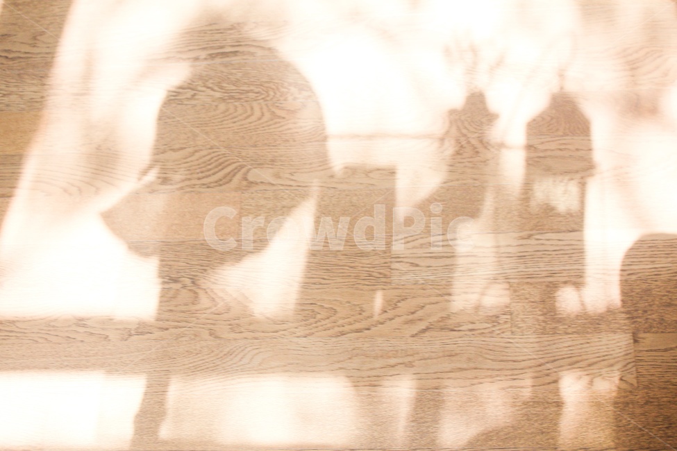 빛,그림자,light,shadow,햇살,햇빛,마루,감성사진