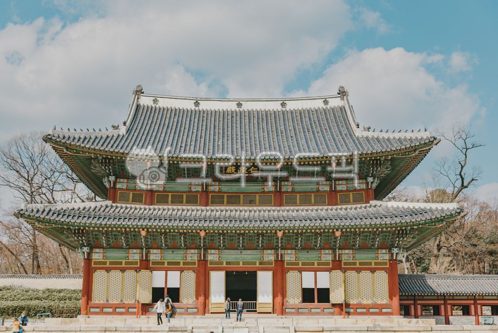 창경궁, 창덕궁, 궁, 한옥, 인정전, 사진,이미지,일러스트,캘리그라피 - Nkimotter2006작가