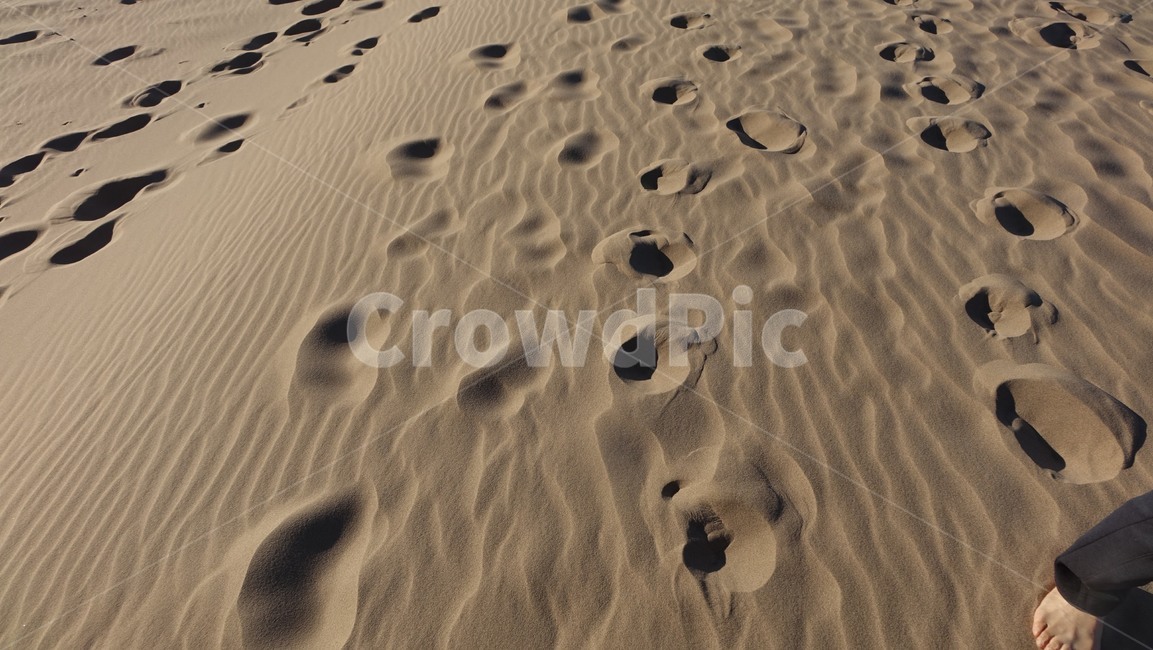 nature,자연,sand,dessert,사막,모래,지평선,horizon,발자국,footstep