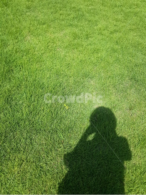 그림자,실루엣,여름,잔디,shadow