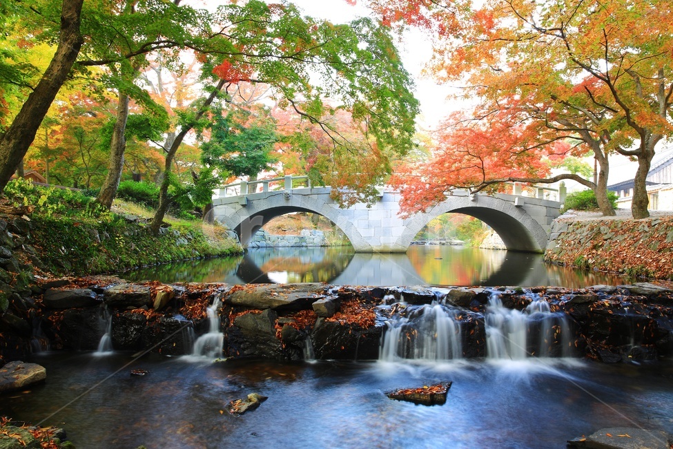 water,물,nature,자연,outdoors,옥외,tree,나무,plant,식물,leaf,잎,treetrunk,나무줄기,maple,단풍,고창,선운사,선운사가을,도솔천,도솔천가을,추색,만추,가을,계절,단풍잎,낙옆,반영