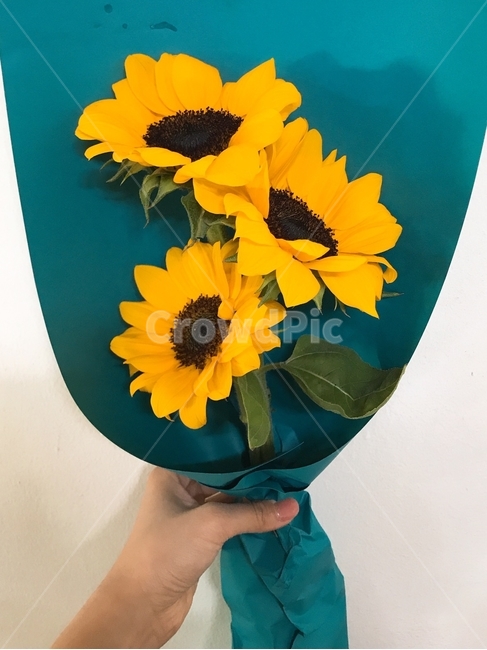 꽃다발,해바라기,꽃,플라워,flower