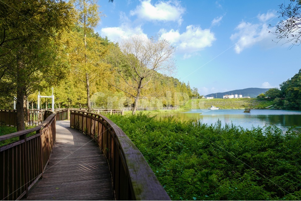 풍경,기장,용소웰빙공원,공원,park,다리,bridge,산책로,숲,자연,가을