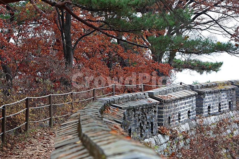 남한산성,성,성곽,단풍,낙엽,길,둘레길,숲,숲길,담,돌담,가을,자연,풍경,벽,울긋불긋,산성,식물,가을,계절,fall,autumn,season