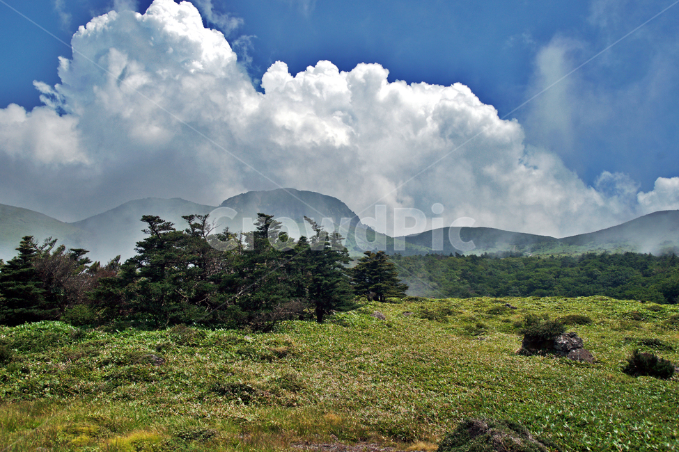 한라산,제주도,영산,어리목코스,만세동산,자연,구름,운무,백록담