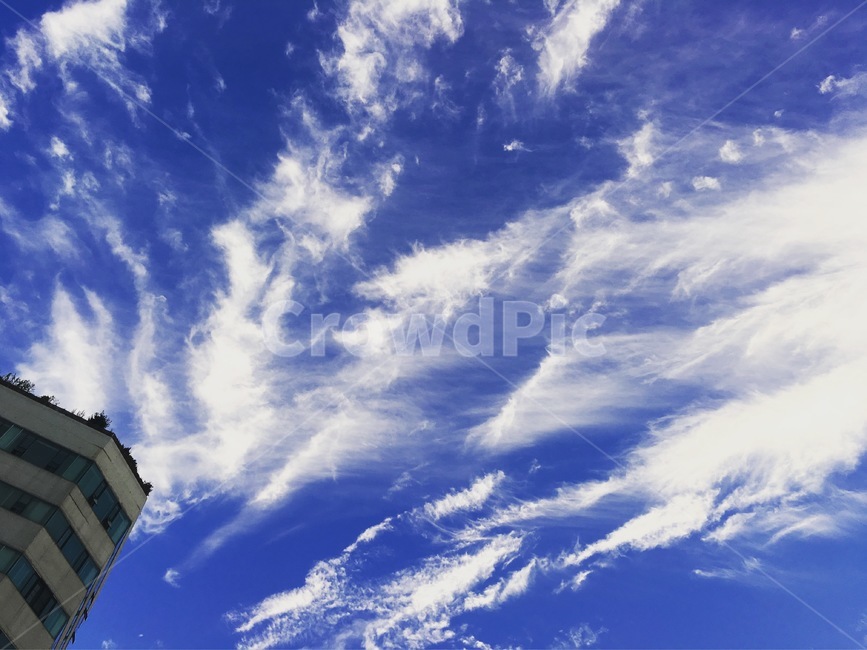 하늘,구름,파랑,맑음,새털구름,자연,풍경,nature,landscape,outdoors,옥외,azure sky,푸른 하늘,sky