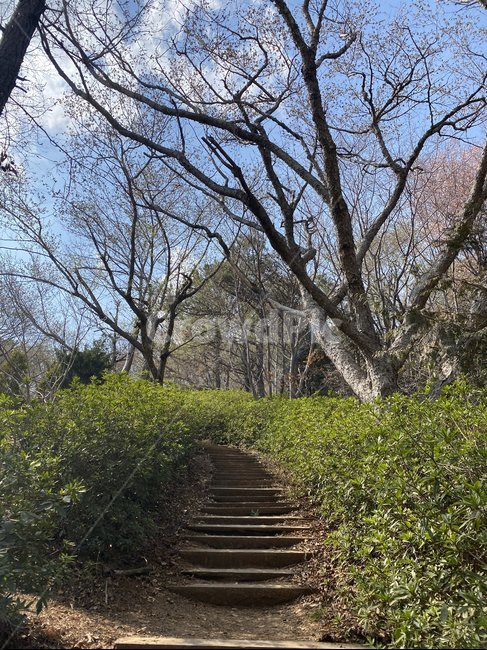 숲,자연,산,natural,park
