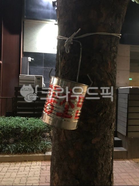 cleaning,cigarette,environment,trash can,canister,ashtray,tree,stern,butts,trash