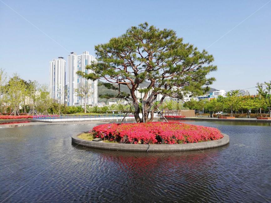 나무,호수,공원,봄,자연,tree