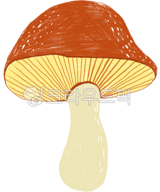 Mushroom,hand-drawn mushroom,red mushroom,hand drawing,hand illustration,mushroom picture,crayon feel,forest,nature,natural background,bushes,moss,grassy field,under a tree,walking path,warm feeling,fairy,autumn,forest