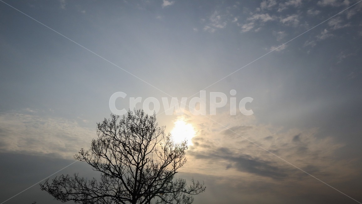 풍경,하늘,나무,구름,햇빛,노을,자연,따스함,배경,cloud,tree,자연,풍경,nature,landscape,flare,플레어,light,빛,outdoors,옥외,sunlight