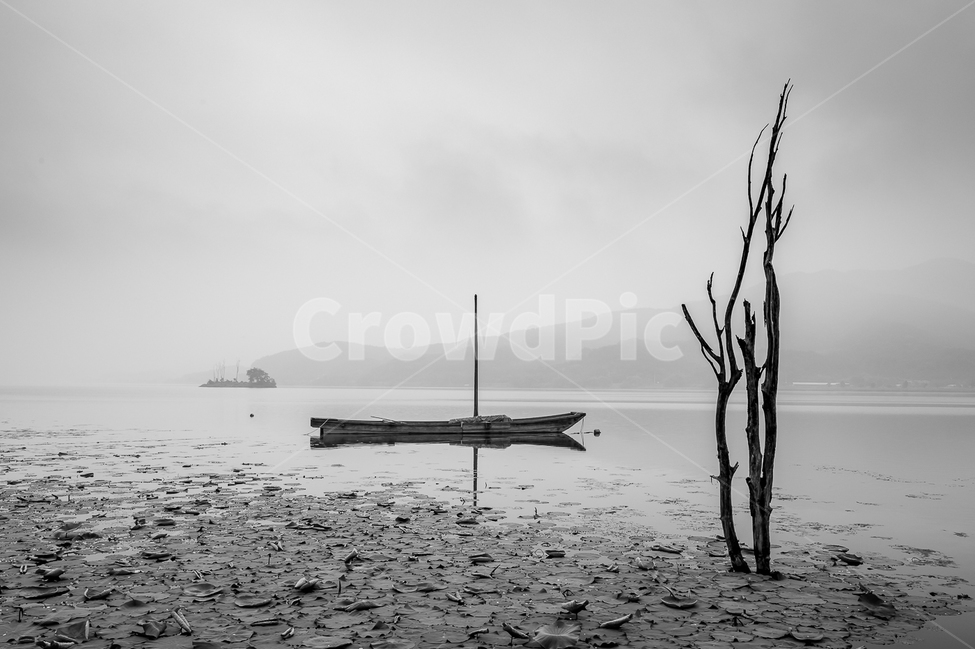 자연,풍경,일출,두물머리,나룻배,안개,흑백,흑백사진,양평,nature,landscape,sunrise,fog,자연,풍경,nature,landscape,한국자연풍경,한국자연경관,korea nature landscape,한국전통,한국문화,korean traditional,korean culture,흑백,모노톤,monochrome,black and white,교통,교통수단,traffic,transportation,wood,나무,vehicle,차량,watercraft,선박