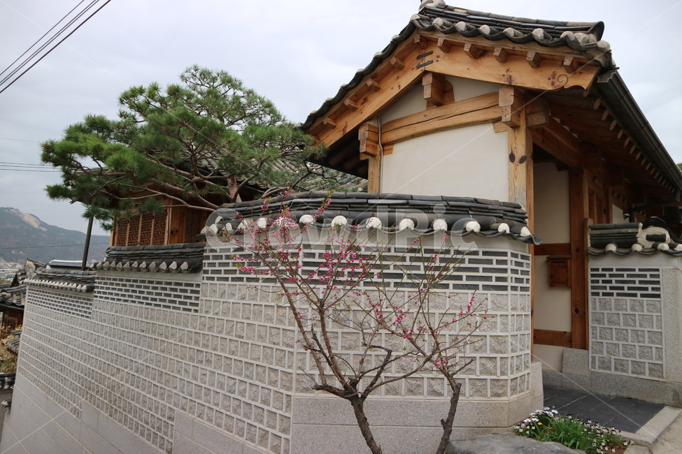 북촌,한옥,한옥마을,지붕,담벼락,풍경,전통,한국전통,한국문화,korean traditional,korean culture,건축물,건물외관,exterior,building,structure,architecture,construction