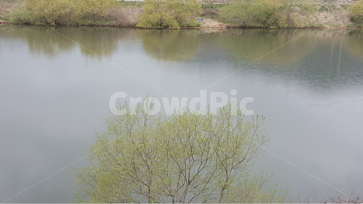 강,이른봄,자연,경치,물그림자,자연,풍경,nature,landscape,water,물,outdoors,옥외