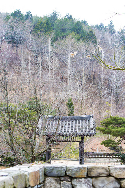 기와,문,돌담,담벼락,전통,문양,무늬,자연,풍경,nature,landscape,한국자연풍경,한국자연경관,korea nature landscape,한국전통,한국문화,korean traditional,korean culture,outdoors,옥외,building,건물,housing,주택