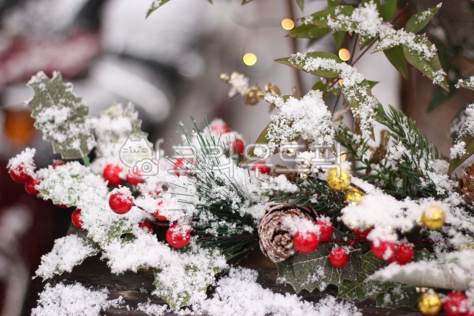 winter,christmas,christmas image,christmas tree,snow,decoration,christmasimage,winterimage