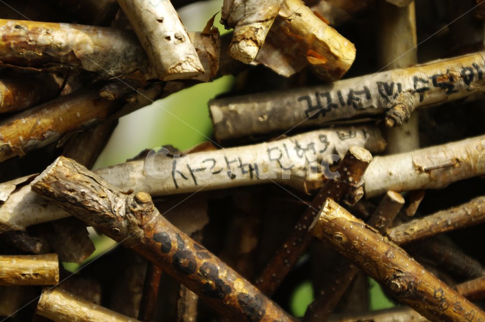 wood,나무,글씨,메세지,나뭇가지
