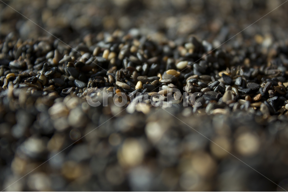 closeup,dry,dummy,food,grain,macro,meal,natural,nature,organic,plant,seed,seeds,sesame,sesameseed,sesameseeds,깨,참깨,곡식,곡류,음식,음식재료,식재료,식물,씨앗,씨,말린,말리는,건조,자연,클로즈업,깨소금,농작물,농촌,농사,검정,블랙,검은색,black,검은깨,아웃포커스,포커스아웃,블러,곡류,곡식,cereals