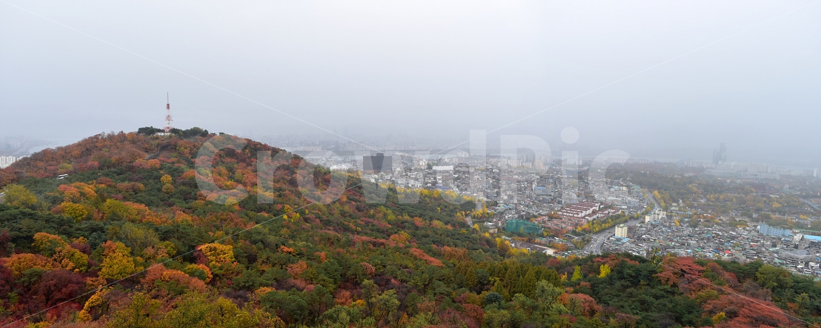 남산,가을,단풍,풍경,서울,낙엽,도심지,명소,자연,비경,단풍나무,가을색,가을색채,오색,가을,계절,fall,autumn,season,도시,풍경,city,landscape,경치,nature,outdoors,옥외,scenery