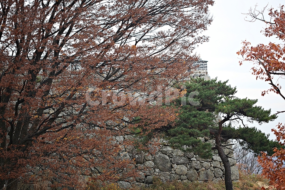 남한산성,성,성곽,단풍,낙엽,길,둘레길,숲,숲길,담돌담,가을,자연,풍경,벽,울긋불긋,산성,식물,가을,계절,fall,autumn,season