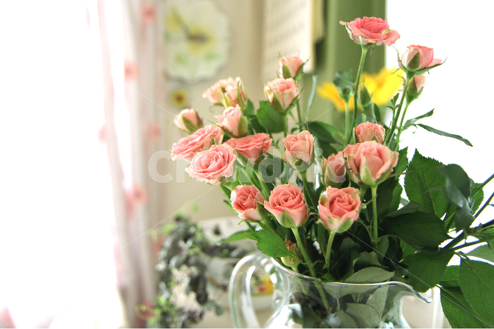 장미,5월,로즈,핑크로즈,방데코,꽃인테리어,유리꽃병,식물,자연,plants,nature,꽃,flower,실내용화초,화분,화초,house plant,인테리어,실내디자인,interior design