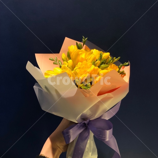 노랑,색감,프리지아,꽃다발,flower,색채,선물,꽃