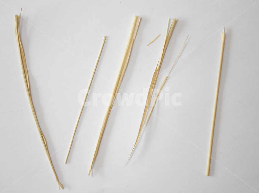 쌀,벼,곡식,곡물,음식,식재료,요리,이삭,곡류,rice,cereal,dry,ear,farming,food,gold,grain,harvest,isolated,korea,meal,nutrition,organic,plant,seed,yellow,cook,cook화이트,흰색,하얀색,흰배경,쌀알,알갱이,볍씨,씨,씨앗,열매,쌀알갱이,식물,자연,탑앵글,탑뷰,지푸라기,줄기