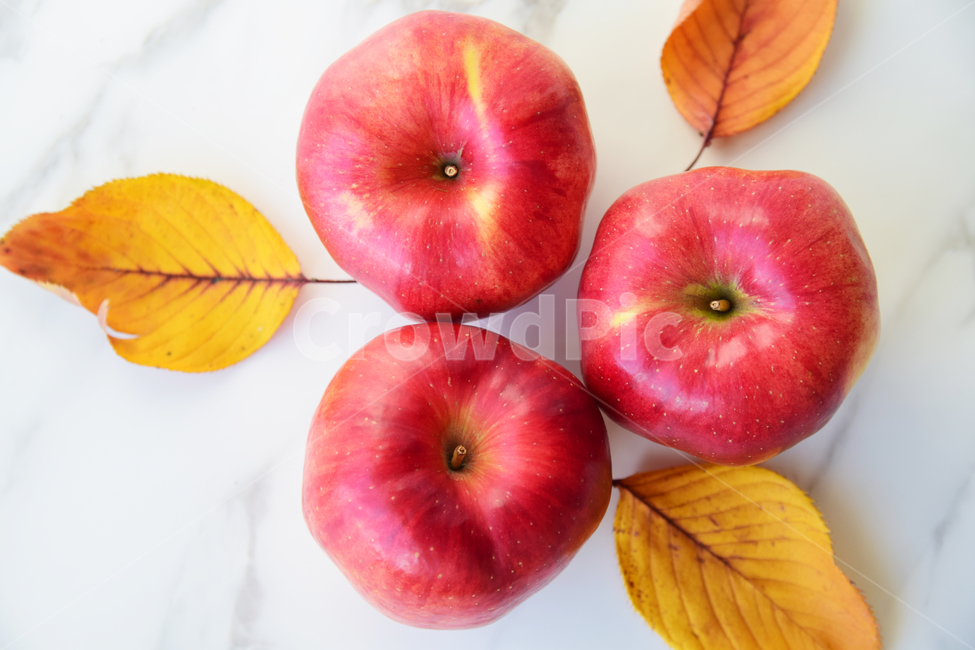 사과,과일,디저트,음식,낙엽,나뭇잎,단풍,탐스러운,apple,food,fruit,leaves,leaf,음식,식재료,요리,food,cook,meal,dishes,food reserves,과일,열매,fruit