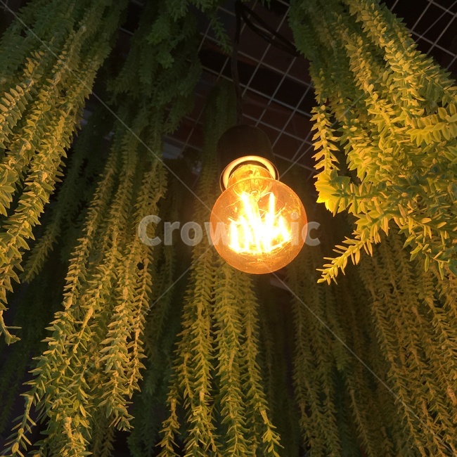 light,lamp,램프,빛,전구