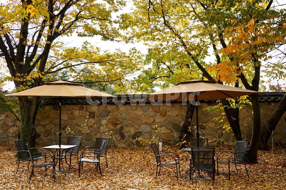 가을,단풍,나무,추색,풍경,감성,계절,가을,계절,fall,autumn,season,한국전통,한국문화,korean traditional,korean culture,건축물,건물외관,exterior,building,structure,architecture,construction