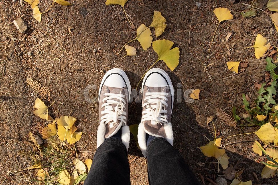 신발,스니커즈,겨울신발,fw,겨울,운동화,외출,shoe,shoes,footwear,winter,fall,autumn,신발류,sneakers,trainer,털신발,털운동화,털스니커즈,털,fur,패션,fashion,회색,grey,가을,계절,fall,autumn,season