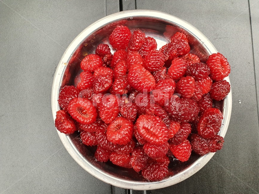산딸기,자연,수확,열매,베리